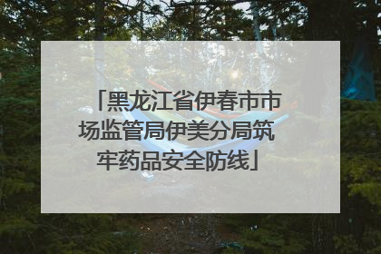 黑龙江省伊春市市场监管局伊美分局筑牢药品安全防线
