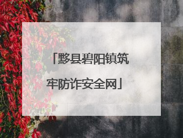 黟县碧阳镇筑牢防诈安全网