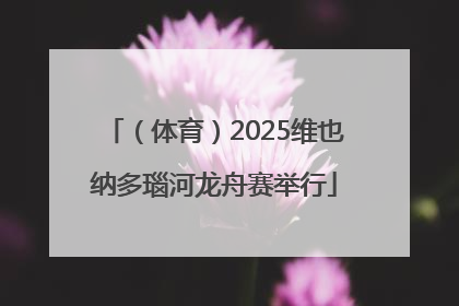 （体育）2025维也纳多瑙河龙舟赛举行