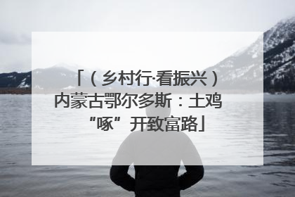 （乡村行·看振兴）内蒙古鄂尔多斯：土鸡“啄”开致富路