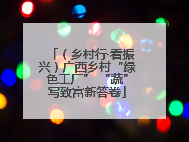 （乡村行·看振兴）广西乡村“绿色工厂” “蔬”写致富新答卷
