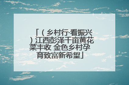 （乡村行·看振兴）江西彭泽千亩黄花菜丰收 金色乡村孕育致富新希望