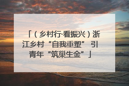 （乡村行·看振兴）浙江乡村“自我重塑” 引青年“筑巢生金”