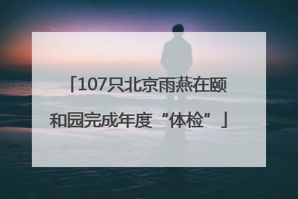 107只北京雨燕在颐和园完成年度“体检”