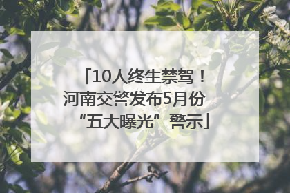 10人终生禁驾！河南交警发布5月份“五大曝光”警示