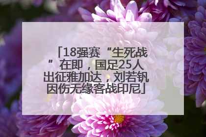 18强赛“生死战”在即，国足25人出征雅加达，刘若钒因伤无缘客战印尼
