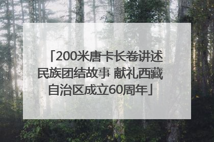 200米唐卡长卷讲述民族团结故事 献礼西藏自治区成立60周年