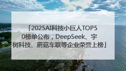 2025AI科技小巨人TOP50榜单公布，DeepSeek、宇树科技、蘑菇车联等企业荣誉上榜