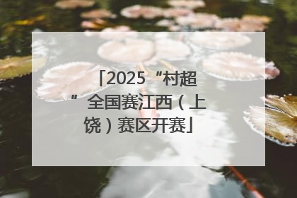 2025“村超”全国赛江西（上饶）赛区开赛