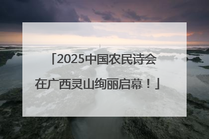 2025中国农民诗会在广西灵山绚丽启幕！