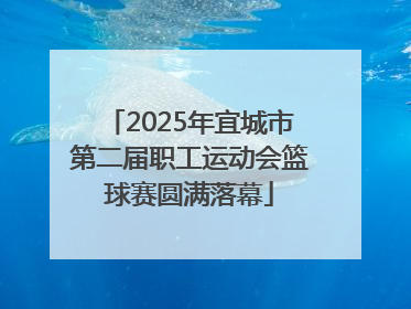 2025年宜城市第二届职工运动会篮球赛圆满落幕