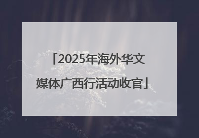 2025年海外华文媒体广西行活动收官