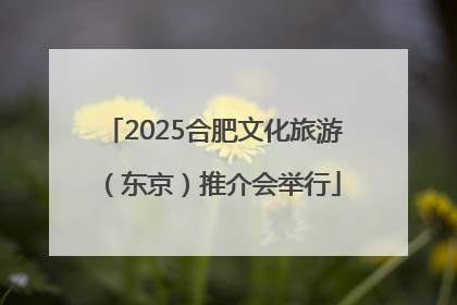 2025合肥文化旅游（东京）推介会举行