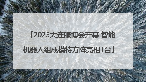 2025大连服博会开幕 智能机器人组成模特方阵亮相T台