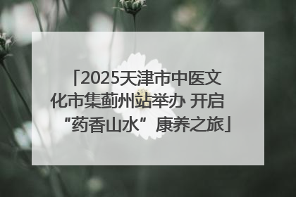2025天津市中医文化市集蓟州站举办 开启“药香山水”康养之旅