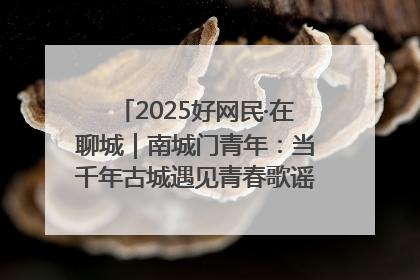 2025好网民·在聊城｜南城门青年：当千年古城遇见青春歌谣 一湖碧水见证的“聊城式浪漫”