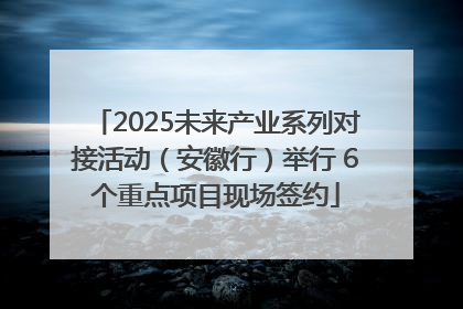 2025未来产业系列对接活动（安徽行）举行 6个重点项目现场签约