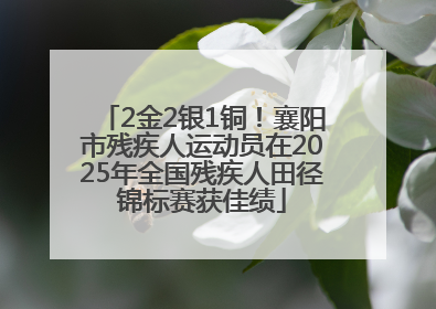 2金2银1铜！襄阳市残疾人运动员在2025年全国残疾人田径锦标赛获佳绩