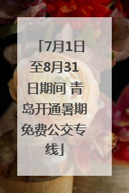 7月1日至8月31日期间 青岛开通暑期免费公交专线