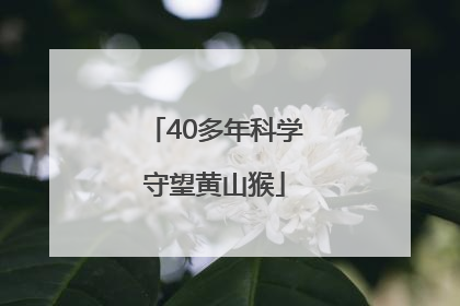 40多年科学守望黄山猴
