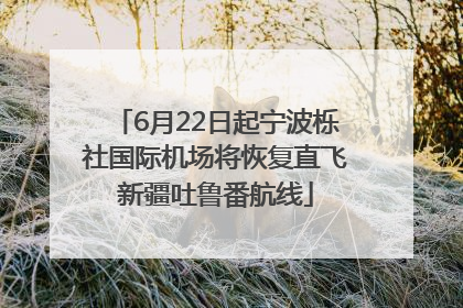 6月22日起宁波栎社国际机场将恢复直飞新疆吐鲁番航线