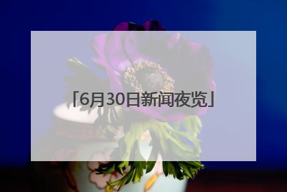 6月30日新闻夜览