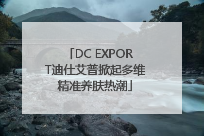 DC EXPORT迪仕艾普掀起多维精准养肤热潮
