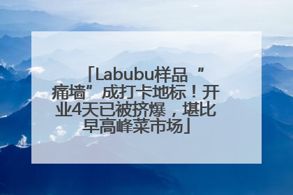 Labubu样品“痛墙”成打卡地标！开业4天已被挤爆，堪比早高峰菜市场